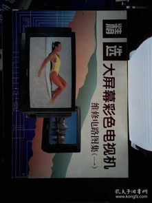 精選大屏幕彩色電視機維修電路圖集.一